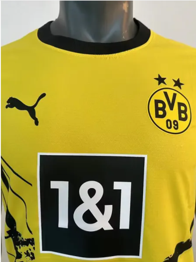 Dortmund domicile 23-24